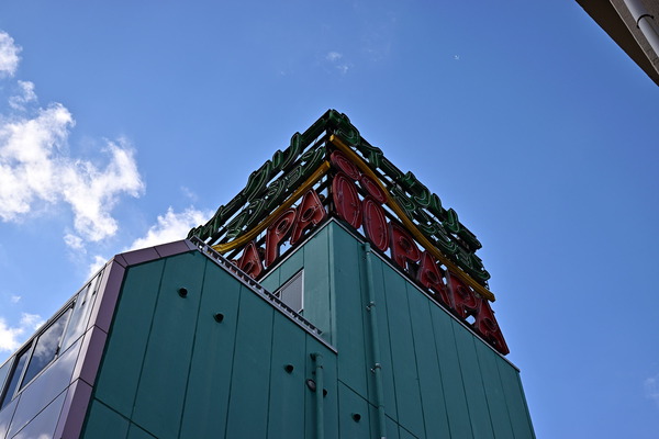 DSC_1194