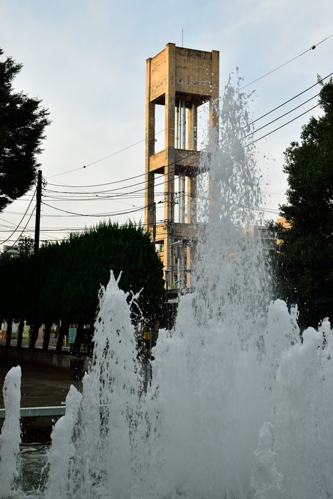 DSC_1029
