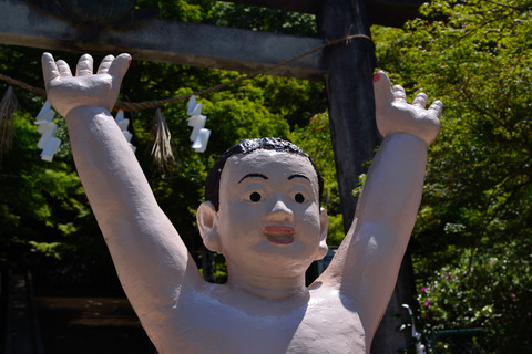 DSC_2918