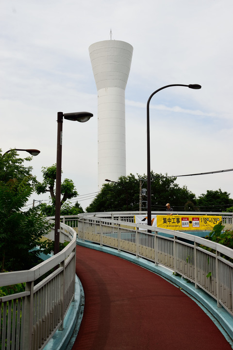 DSC_0949