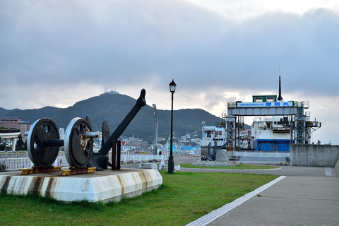 DSC_0266 (2)