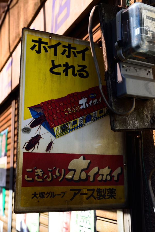DSC_0453