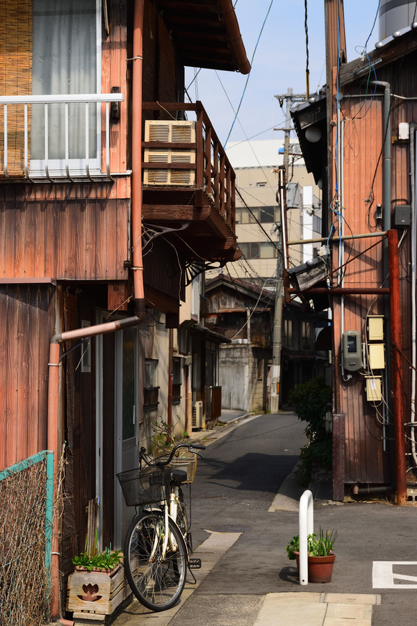 DSC_1801