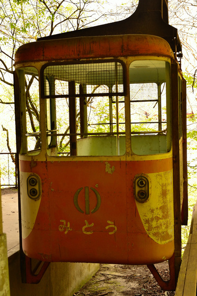 DSC_1554