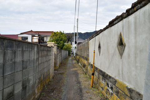 DSC_1444