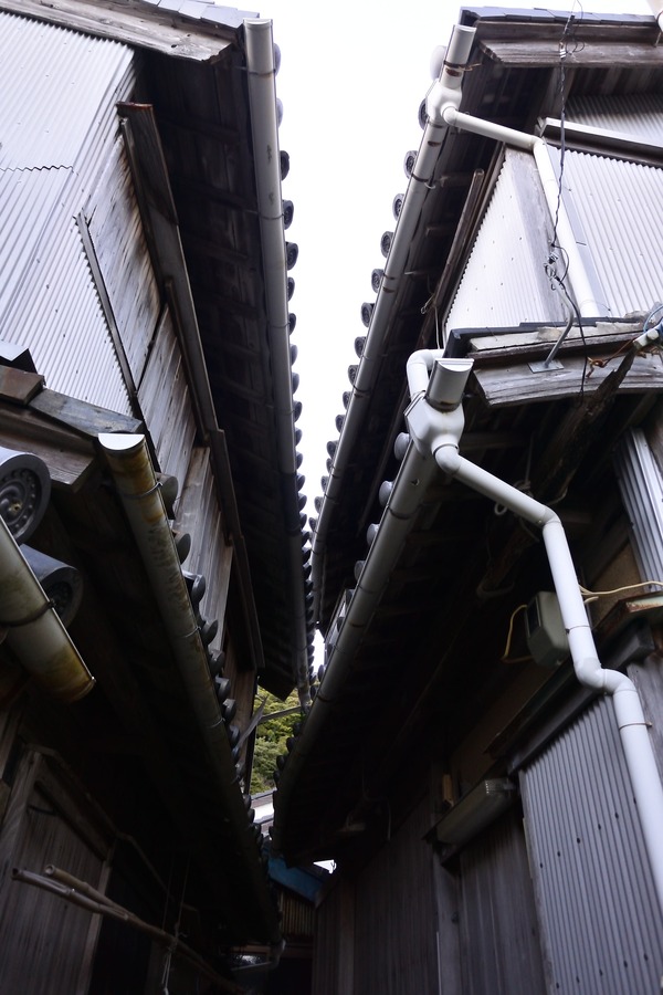 DSC_0107 - コピー