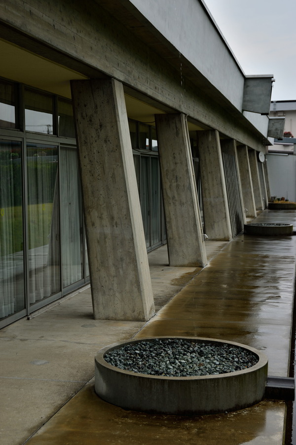 DSC_0731