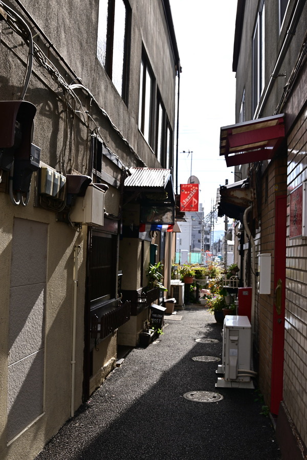 DSC_1180