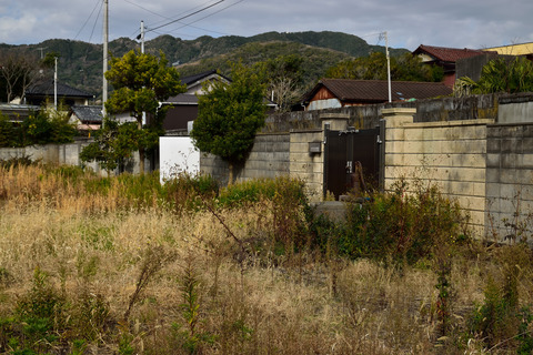 DSC_1497