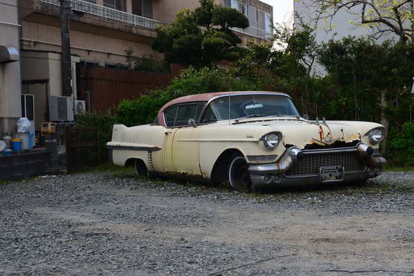 DSC_0002