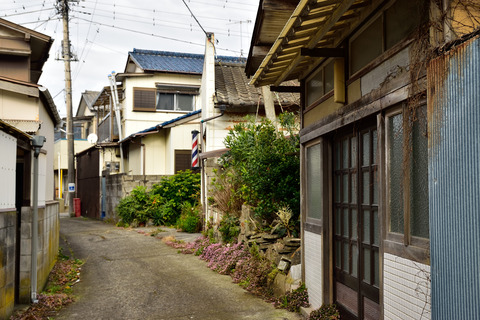 DSC_1425