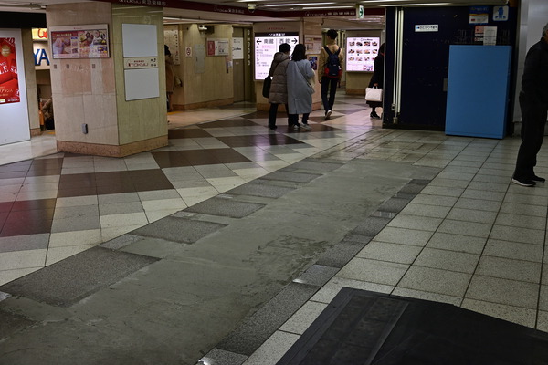 DSC_1030