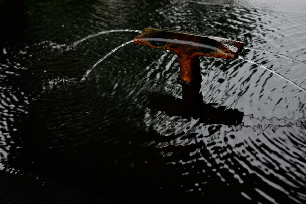 DSC_0706
