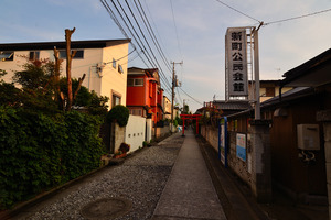 DSC_2113