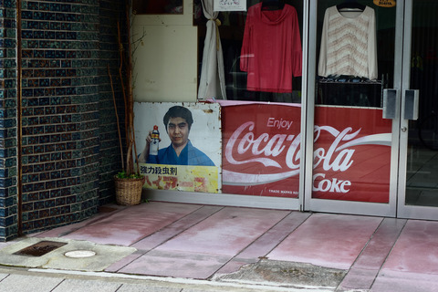 DSC_0954 (2)