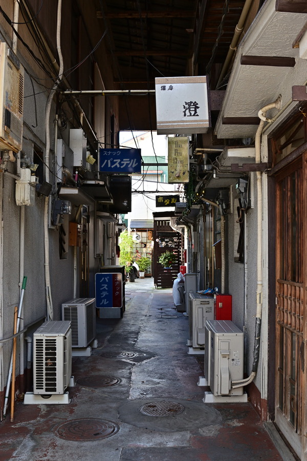 DSC_1103