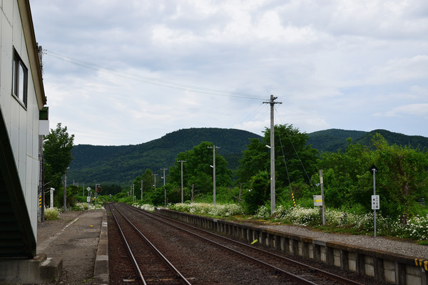 DSC_0909