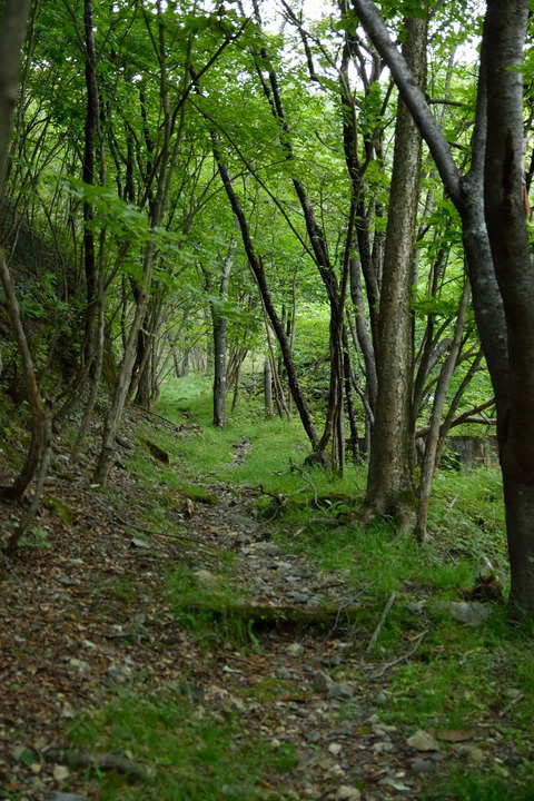 DSC_0647