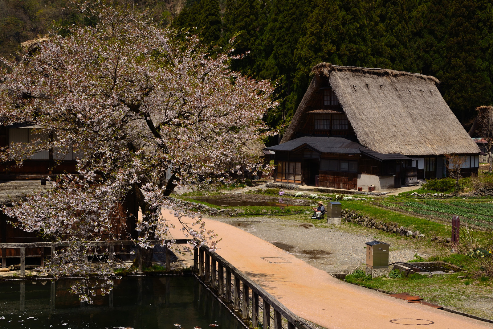 菅沼 相倉 合掌造り集落 五箇山 へ 後藤健太郎のブログ