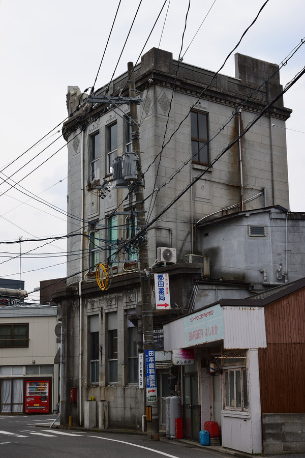 DSC_1906