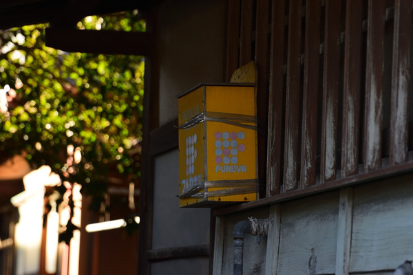 DSC_1296