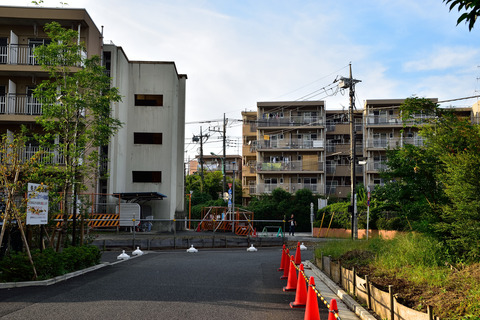 DSC_1047