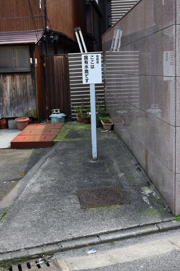 DSC_1776