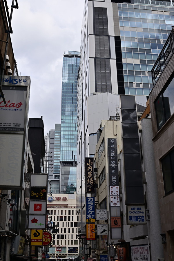 DSC_0683