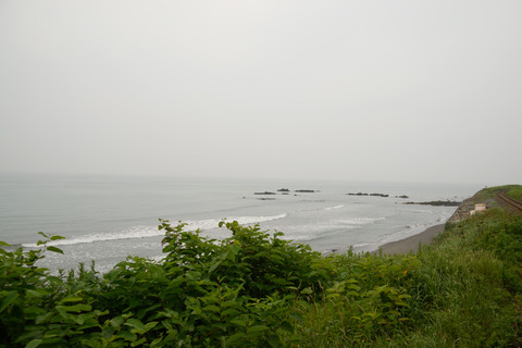 DSC_0114