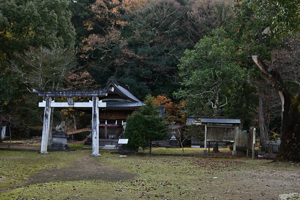 DSC_0591