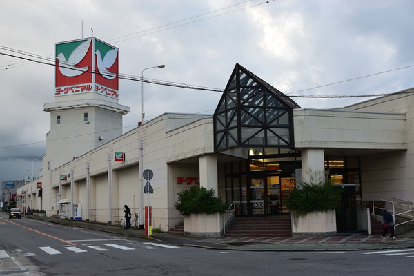 DSC_1253