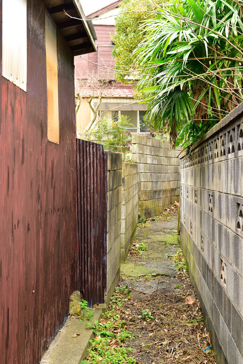 DSC_1450