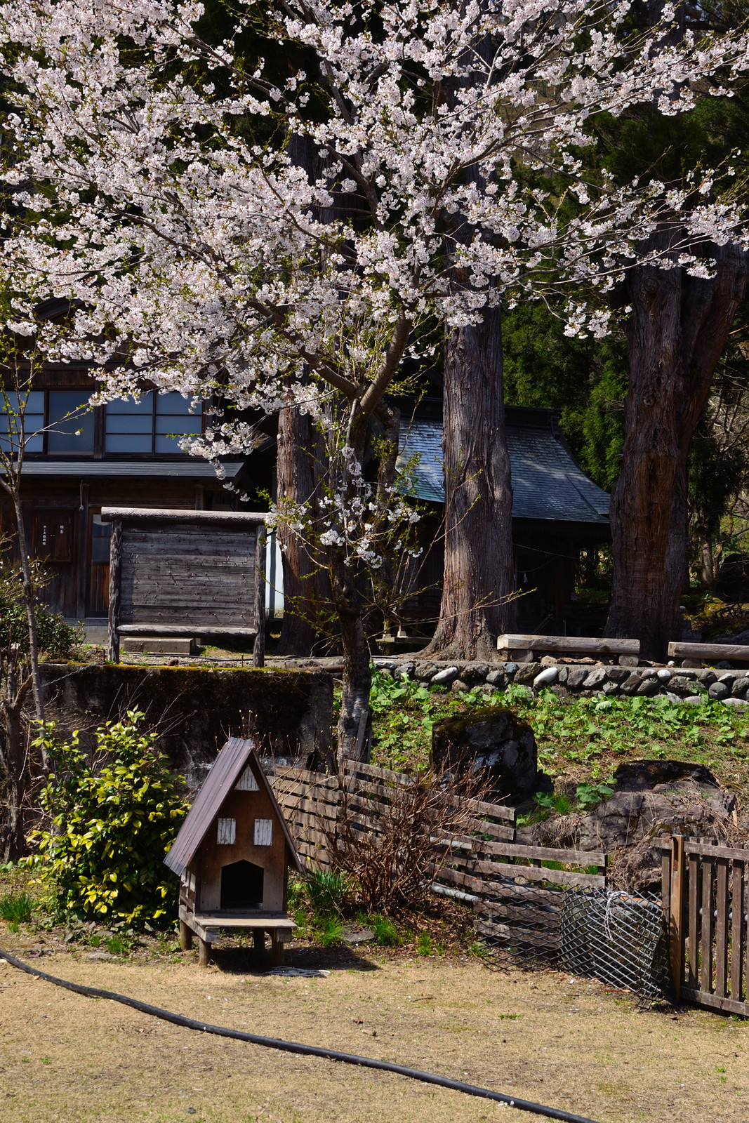 菅沼 相倉 合掌造り集落 五箇山 へ 後藤健太郎のブログ
