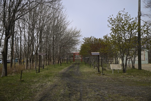 _DSC7946_00027