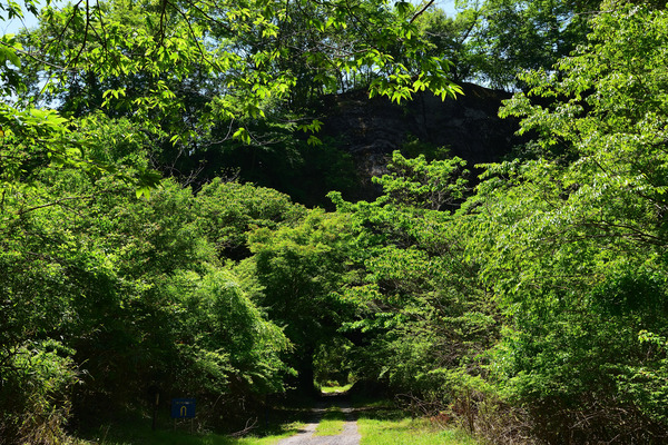 DSC_1372_01