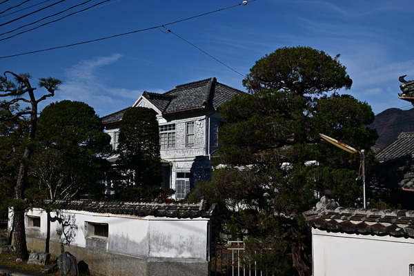 DSC_0696_01