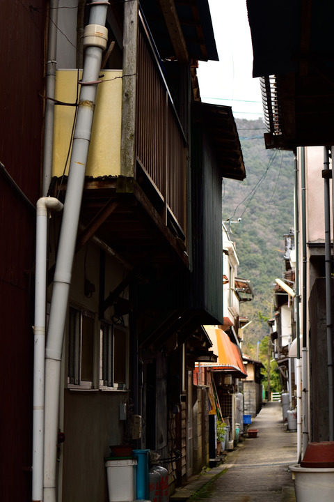 DSC_0761