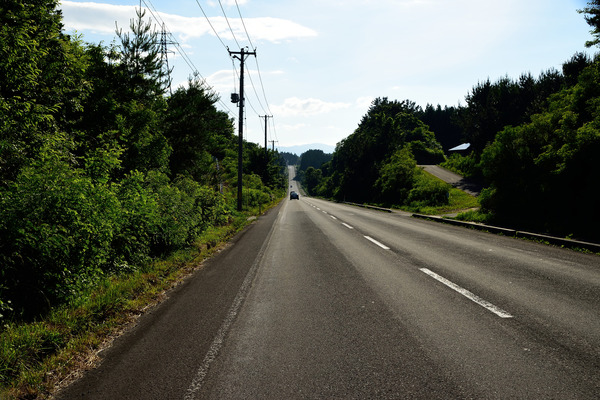 DSC_1153
