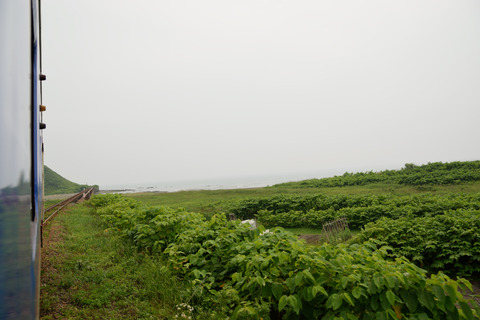 DSC_0118