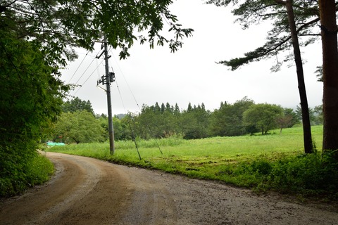 DSC_0036
