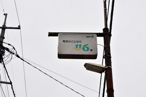 DSC_0812