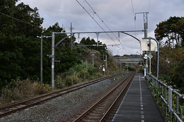 DSC_1041
