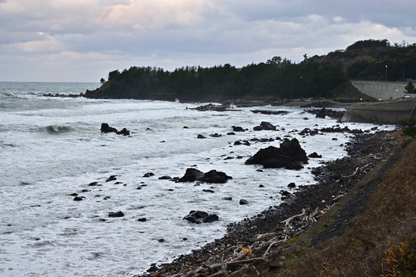 DSC_1011