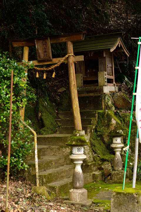 DSC_0653