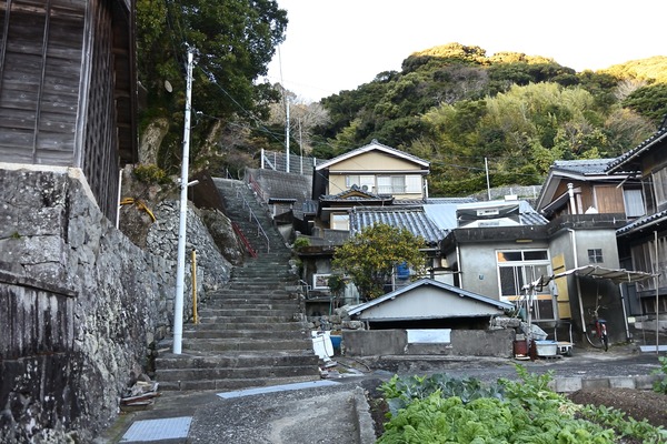 DSC_0147 - コピー
