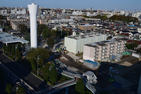 DSC_0891
