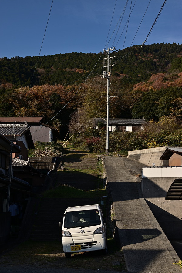DSC_0896_01