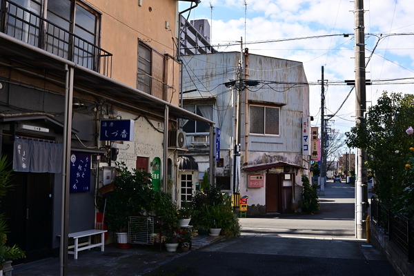 DSC_1110