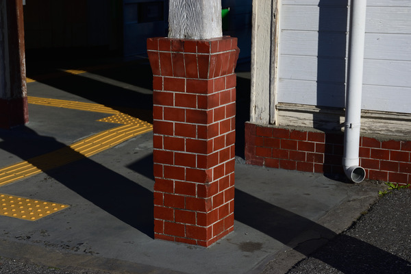 DSC_1289