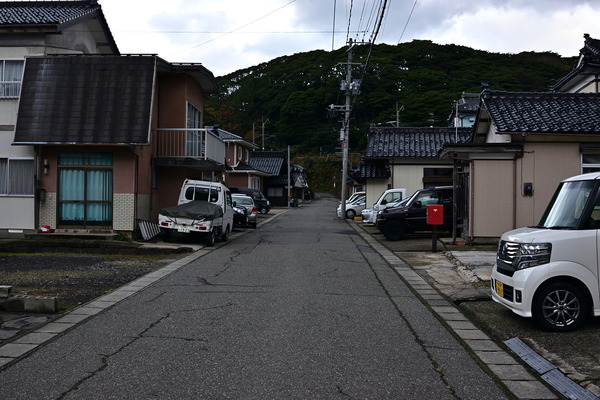 DSC_1005